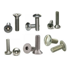 Stainless Steel Screw